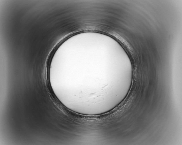 X0000096450886200802141510