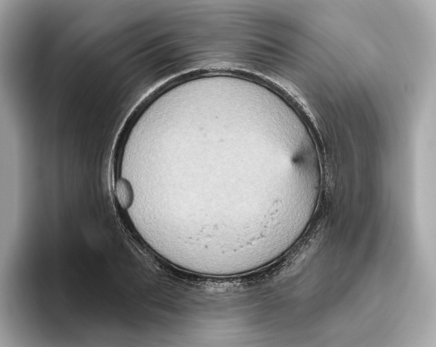 X0000096450887200802141510