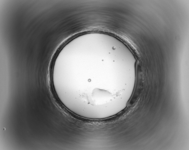 X0000096450888200802141510