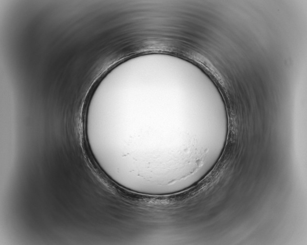 X0000096450890200802141510