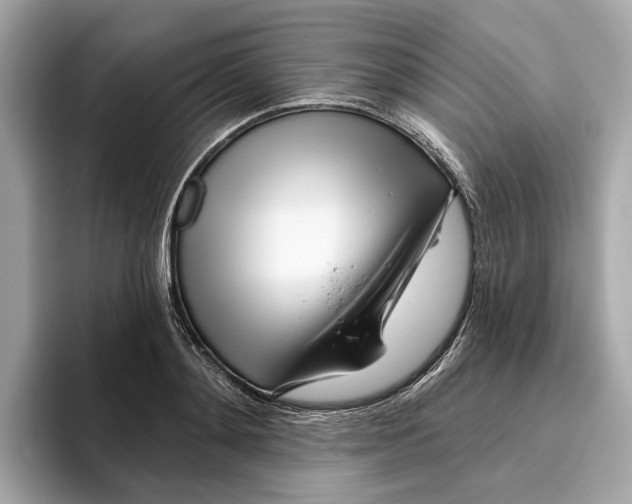 X0000096450892200802141510