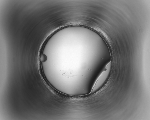 X0000096450894200802141510