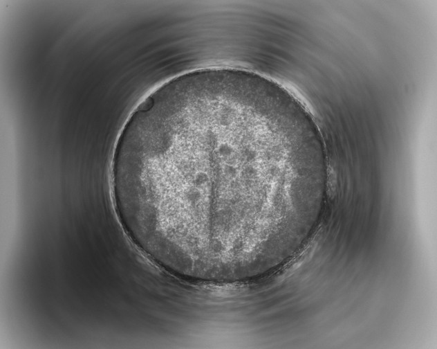 X0000096450895200802141510