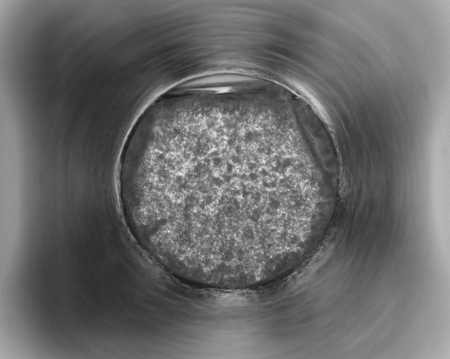 X0000096450899200802141510