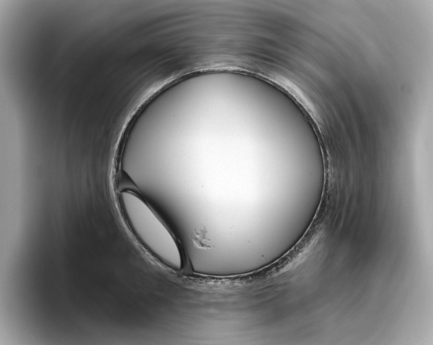 X0000096450901200802141510