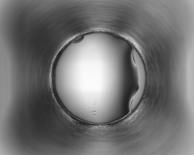 X0000096450902200802141510