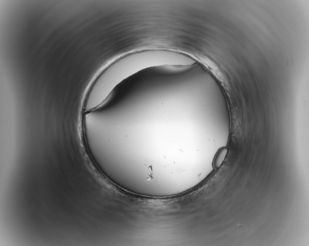 X0000096450904200802141510