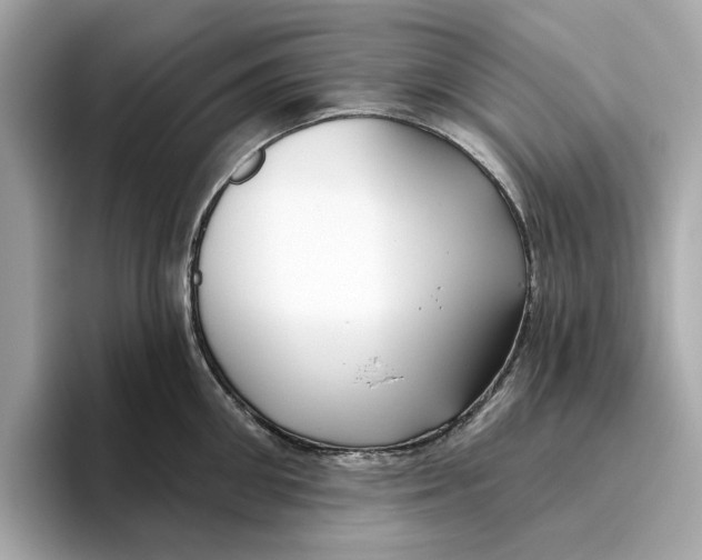 X0000096450906200802141510