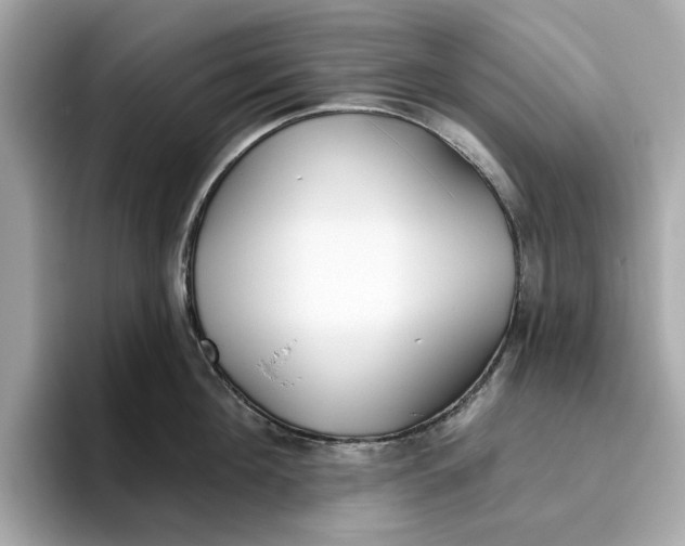 X0000096450908200802141510