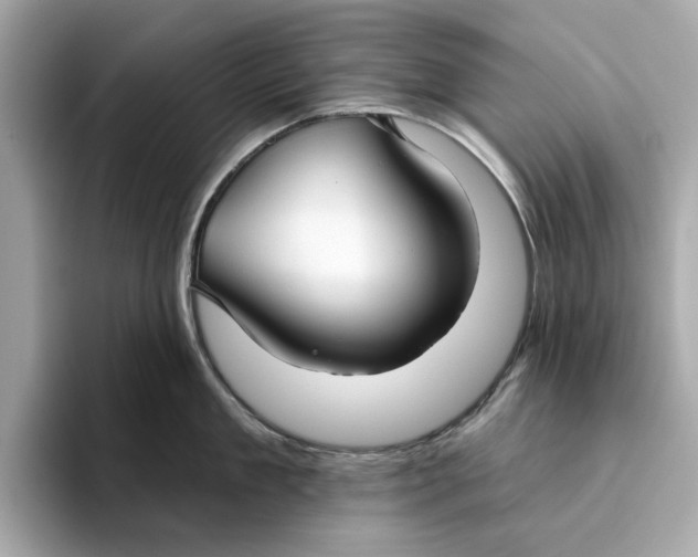 X0000096450909200802141510