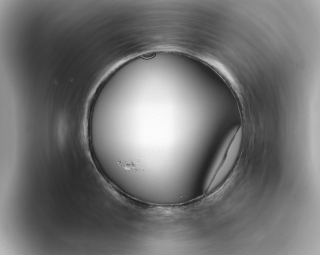 X0000096450910200802141509