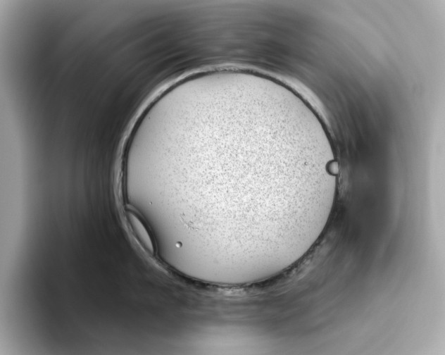 X0000096450911200802141509