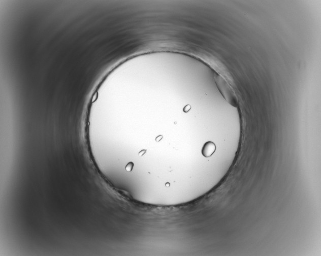 X0000096450912200802141509