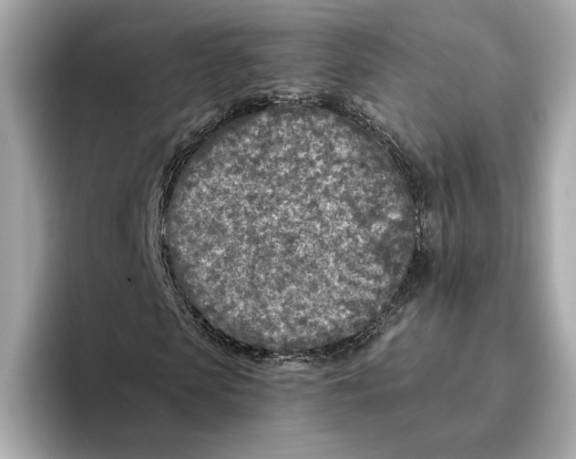 X0000096450913200802141509