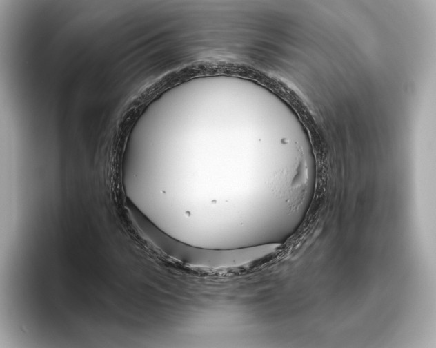 X0000096450919200802141509