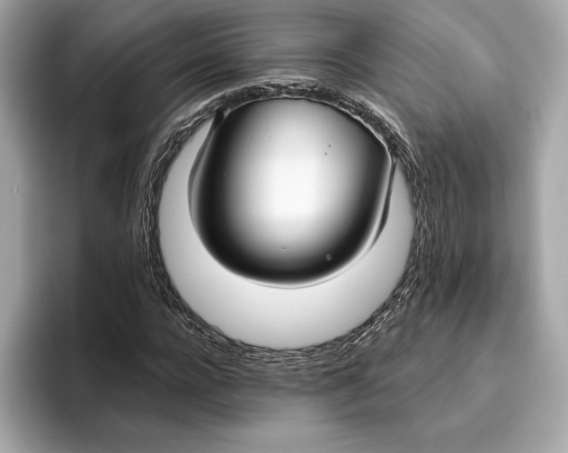 X0000096450920200802141509