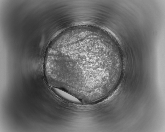 X0000096450921200802141509