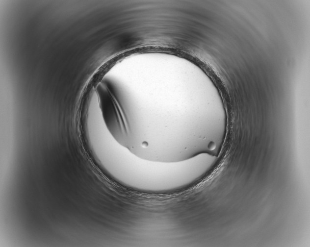 X0000096450923200802141509