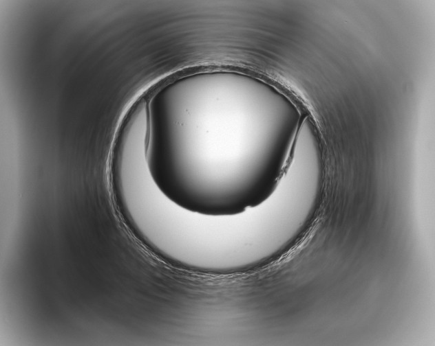 X0000096450928200802141509