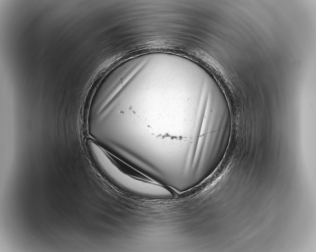 X0000096450930200802141509