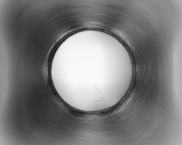 X0000096450931200802141509