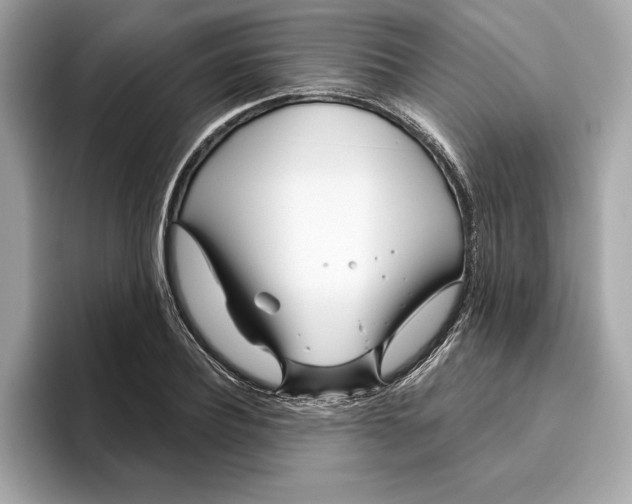 X0000096450932200802141509