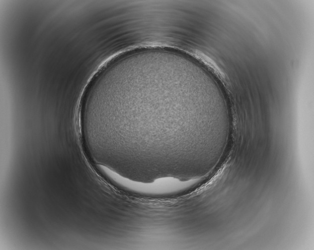 X0000096450934200802141509