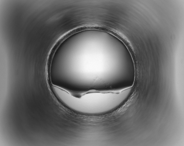 X0000096450935200802141509