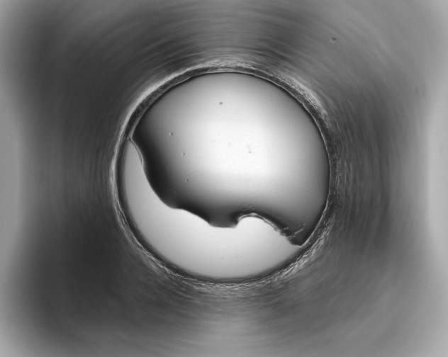 X0000096450936200802141509