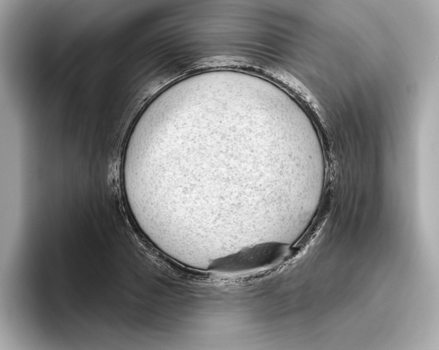 X0000096450937200802141509