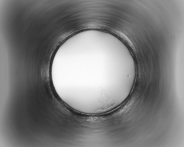 X0000096450938200802141509