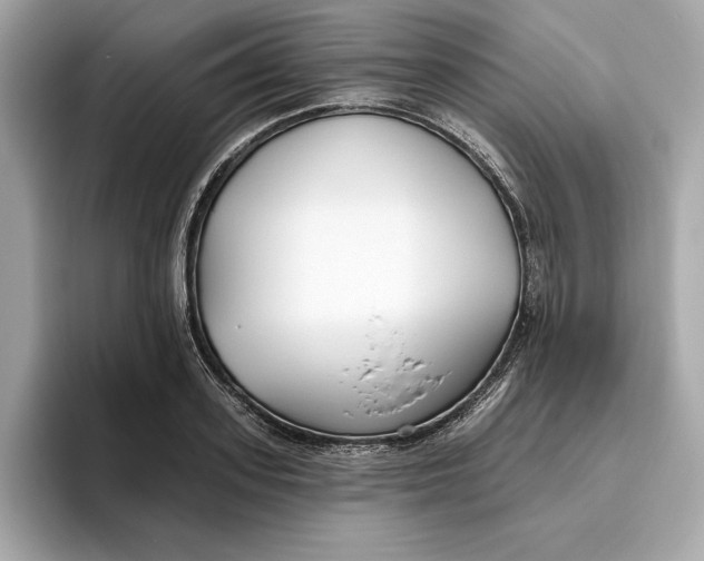 X0000096450939200802141509