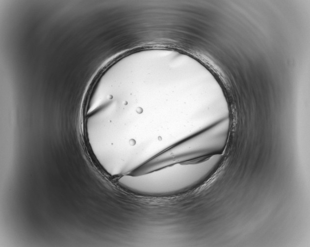 X0000096450940200802141509