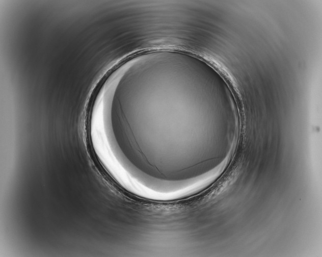 X0000096450941200802141509