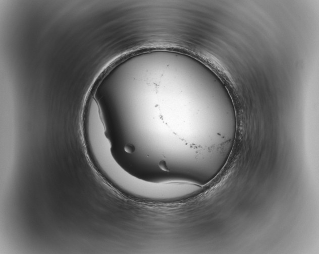 X0000096450942200802141509