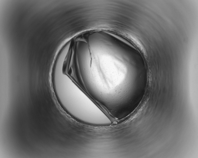 X0000096450944200802141509