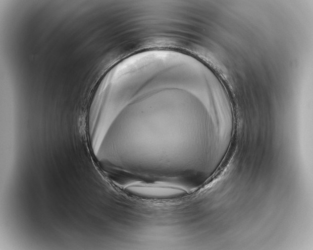 X0000096450945200802141509