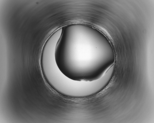 X0000096450946200802141509