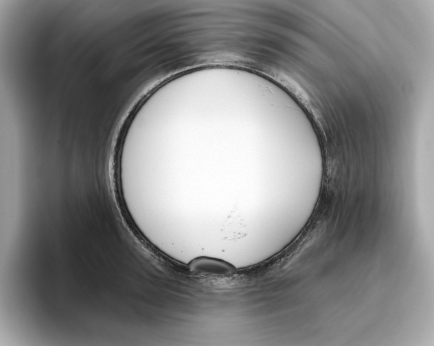 X0000096450947200802141509