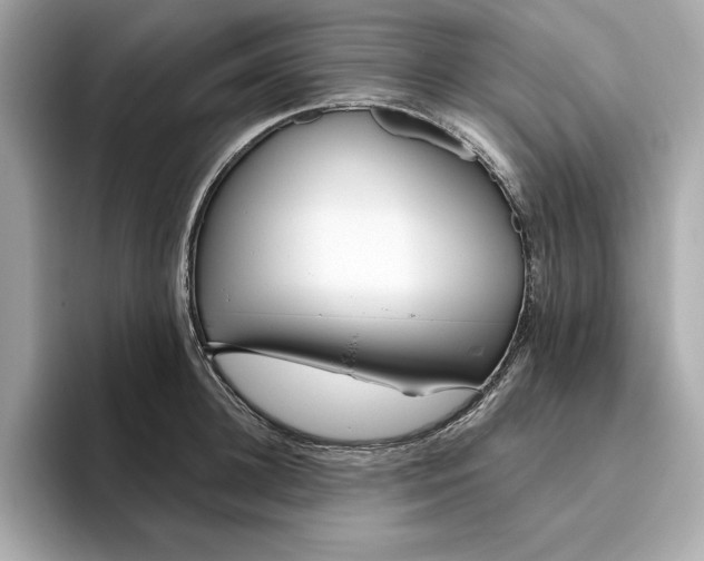 X0000096450948200802141509