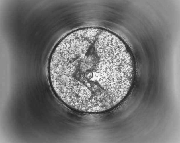 X0000096450950200802141509