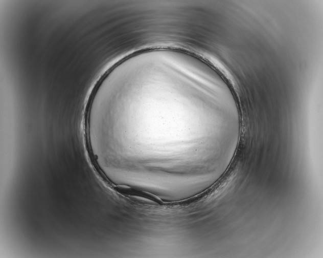 X0000096450951200802141509