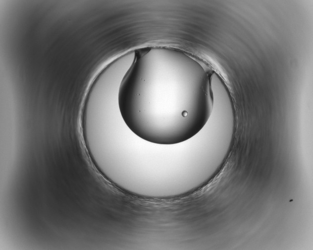 X0000096450952200802141509