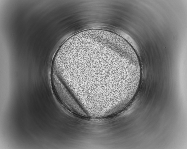 X0000096450954200802141509