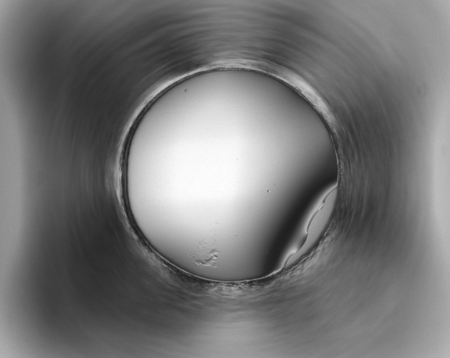 X0000096450955200802141509