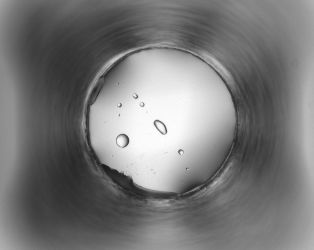 X0000096450956200802141509