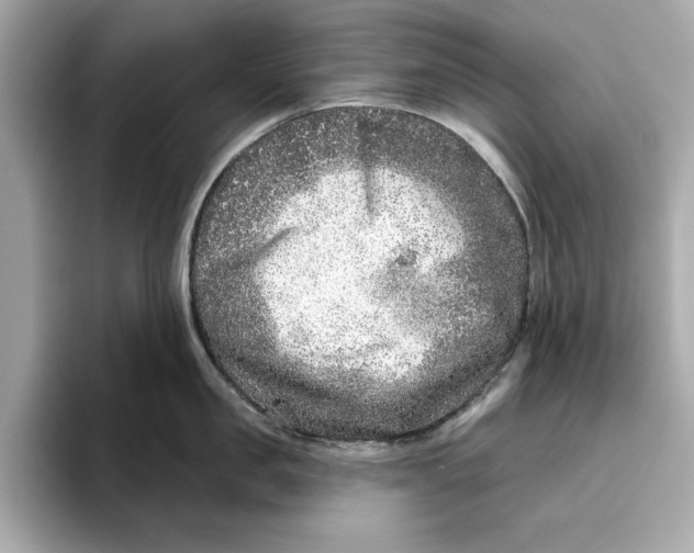 X0000096450957200802141509