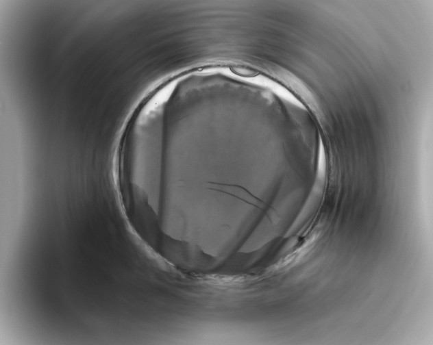 X0000096450958200802141509