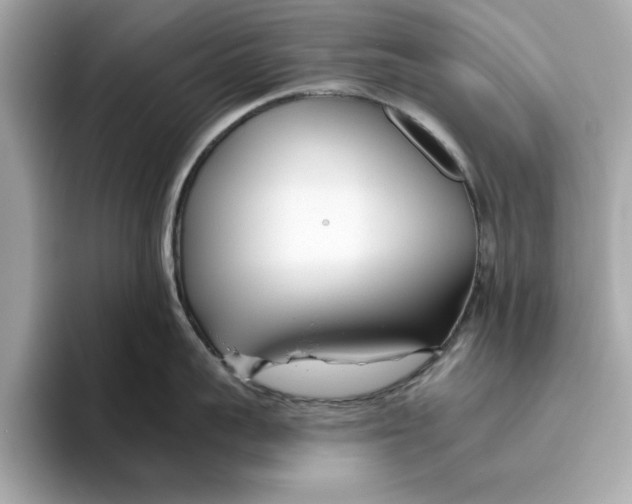 X0000096450959200802141509