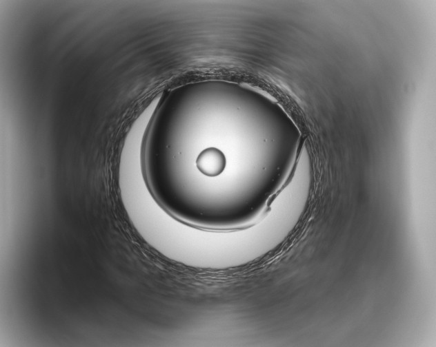 X0000096450965200802141509